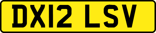 DX12LSV