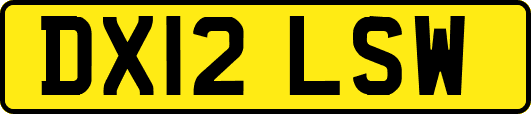 DX12LSW