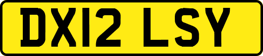 DX12LSY