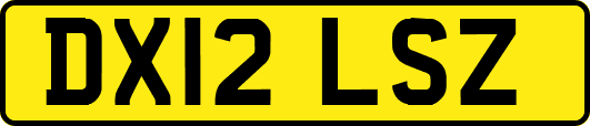 DX12LSZ