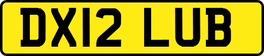 DX12LUB