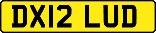 DX12LUD