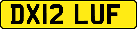 DX12LUF