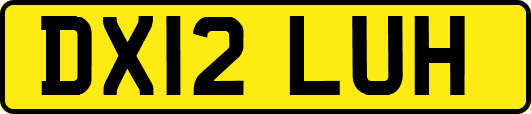 DX12LUH