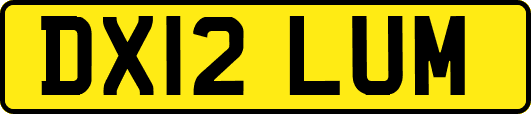 DX12LUM