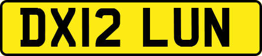 DX12LUN