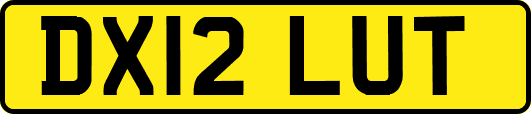 DX12LUT
