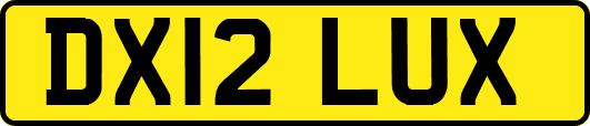 DX12LUX