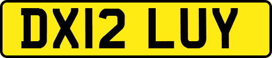 DX12LUY