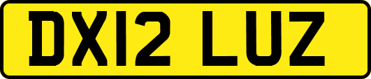 DX12LUZ