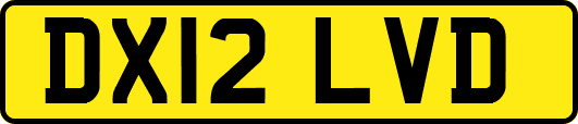 DX12LVD