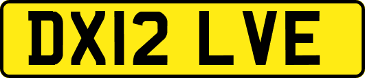 DX12LVE