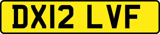 DX12LVF