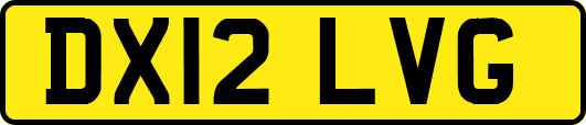 DX12LVG