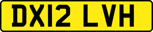 DX12LVH