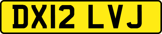 DX12LVJ
