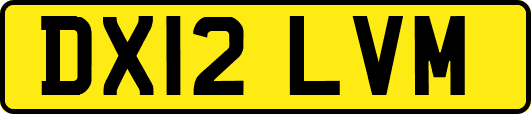 DX12LVM