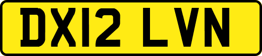 DX12LVN