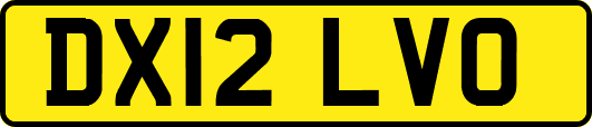 DX12LVO