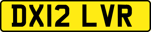 DX12LVR