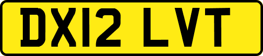DX12LVT