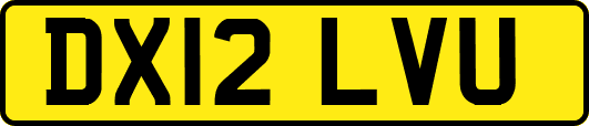 DX12LVU
