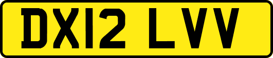 DX12LVV