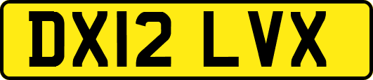 DX12LVX