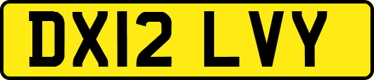 DX12LVY