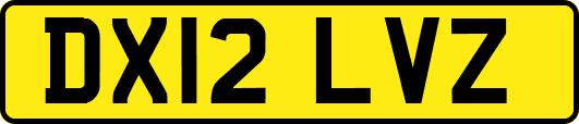DX12LVZ