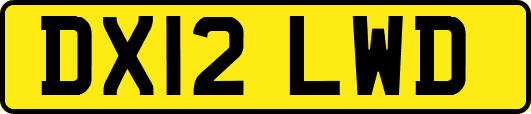 DX12LWD