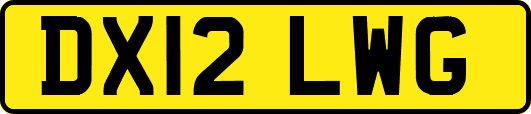 DX12LWG