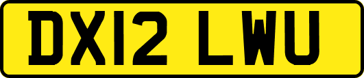 DX12LWU