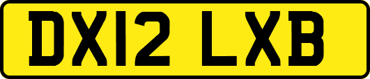 DX12LXB