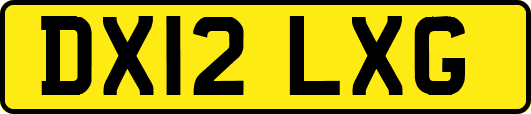DX12LXG