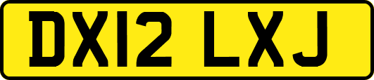DX12LXJ