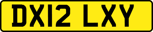 DX12LXY