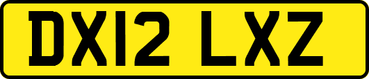 DX12LXZ