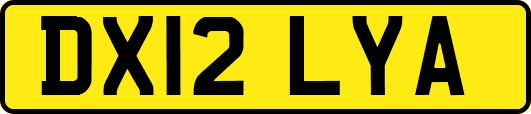 DX12LYA