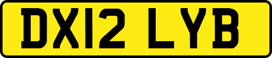 DX12LYB