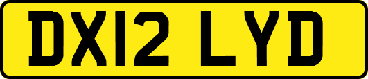 DX12LYD