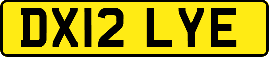DX12LYE