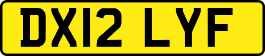 DX12LYF