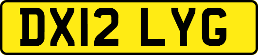 DX12LYG