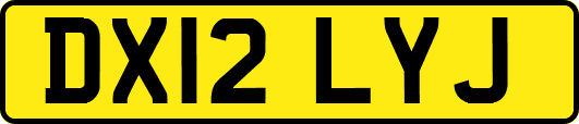 DX12LYJ