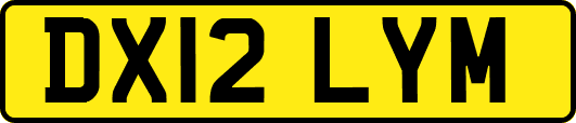 DX12LYM