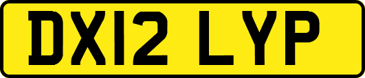 DX12LYP