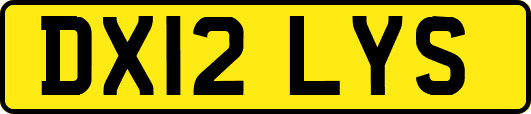 DX12LYS