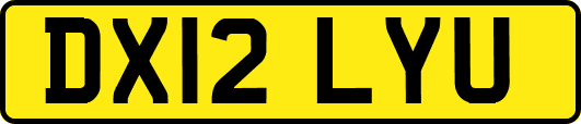DX12LYU