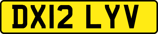 DX12LYV